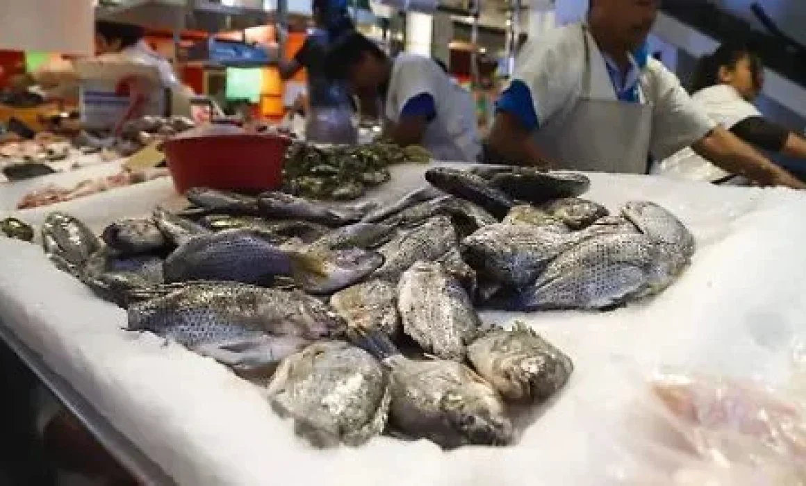 Lee más sobre el artículo Inicia Operativo de Cuaresma en Querétaro para prevenir enfermedades.