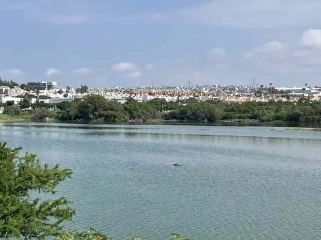 Destacan carrera de Paty Valle, tras iniciativa de llamar así al Querétaro 2000