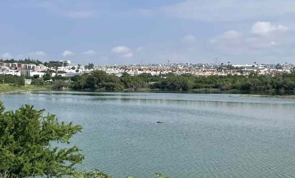 Lee más sobre el artículo Destacan carrera de Paty Valle, tras iniciativa de llamar así al Querétaro 2000