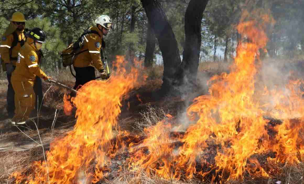 Lee más sobre el artículo Acumula México 2 mil 332 incendios forestales