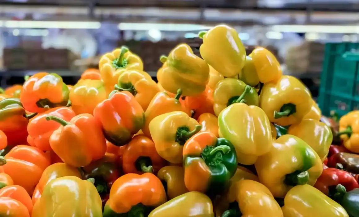 Lee más sobre el artículo Tras 16 años, México envía primer embarque de pimiento morrón a Japón