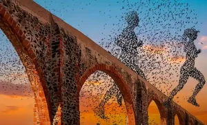 Lee más sobre el artículo Presentan el Querétaro Maratón 2026; esperan más de 19 mil corredores