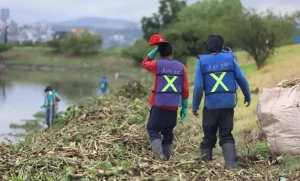 Lee más sobre el artículo UAQ participa en la rehabilitación del bordo Benito Juárez