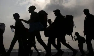 Lee más sobre el artículo Suman 250 queretanos repatriados que reciben apoyo